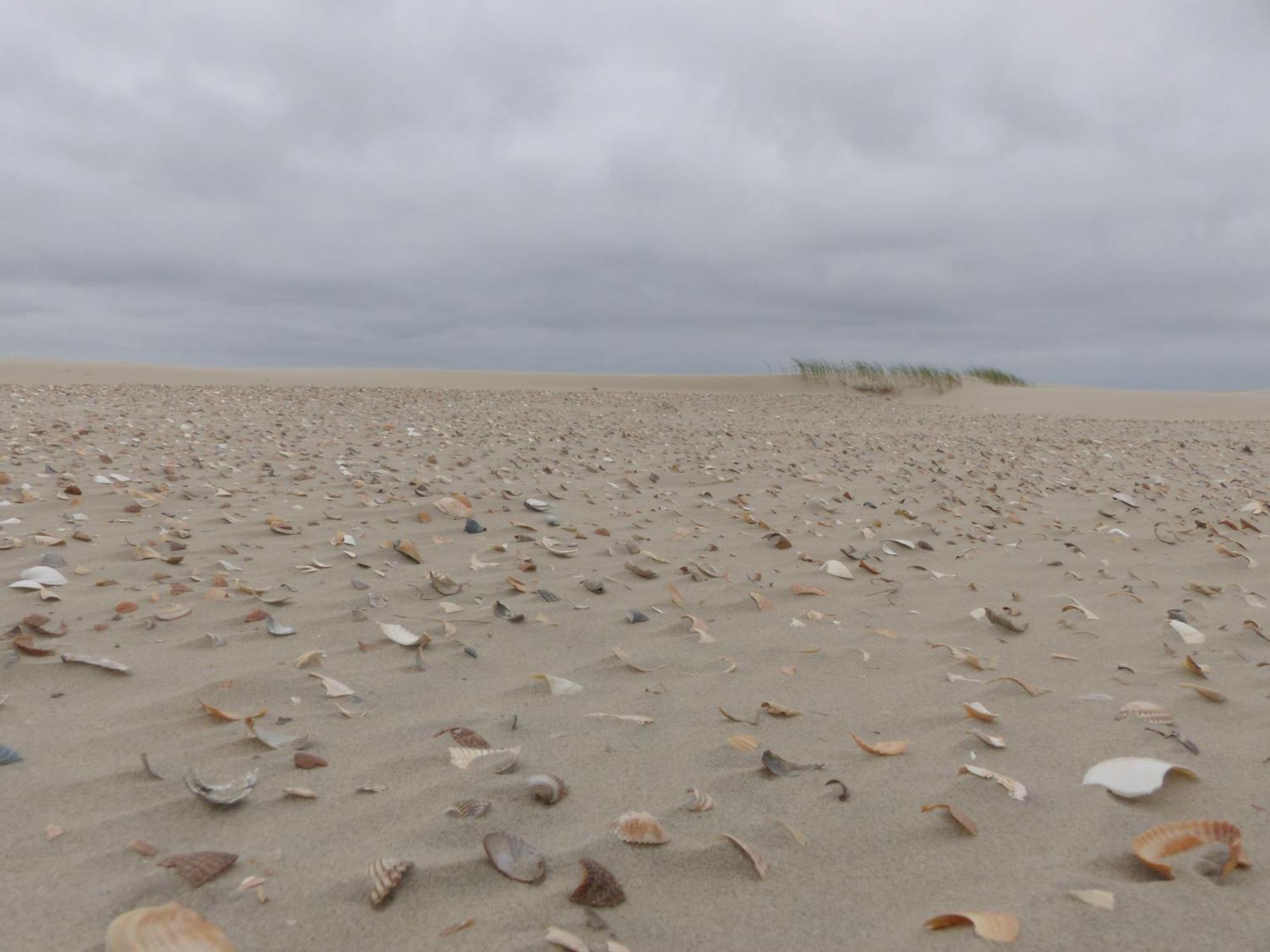 Huus Moevchen Apartment Borkum Luaran gambar